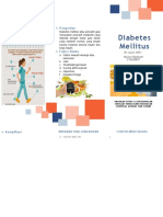 Template Diabetes Melitus - Nurani Radianti - 213220037