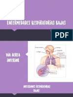 Enfermedades Resp PDF