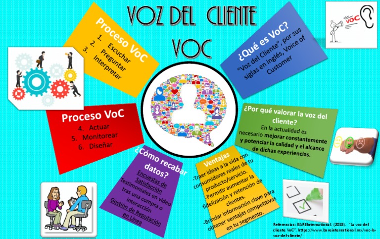 voc-voz-del-cliente-pdf