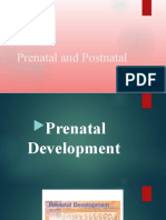 Prenatal and Postnatal: Development