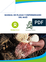 Manual Plagas y Efermedades Del Maiz