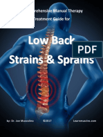 A Comprehensive Treatment Guide For Low Back Strains and Sprains