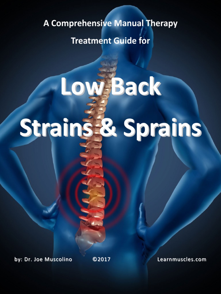 Low Back Strains & Sprains Guide | PDF | Back Pain | Muscle Contraction