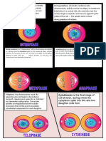 During Interphase, Cellular Organelles Double: Cytokinesis Is The Final Stage of