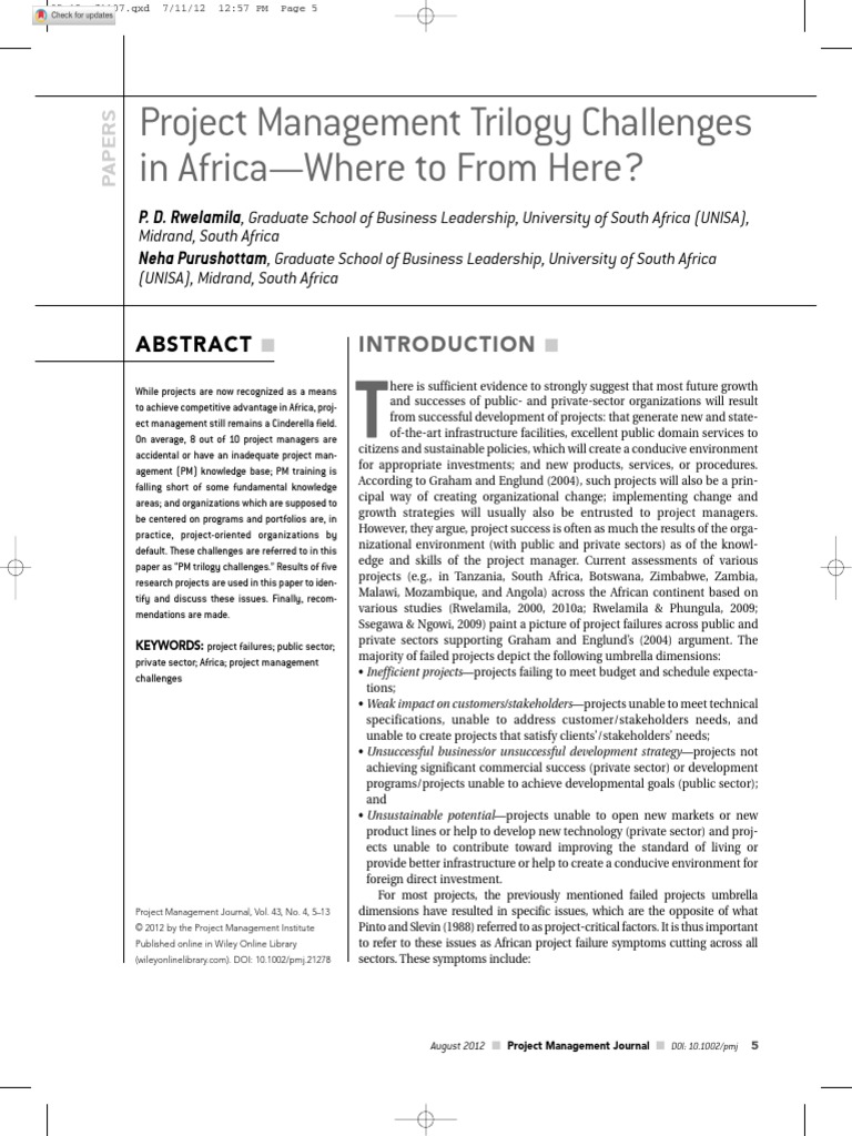 Challenges in Africa Rwelima PDF Project Management Expert