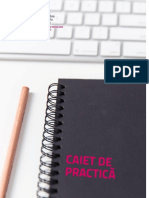 Caiet de Practica - AS1 - 2019-2020