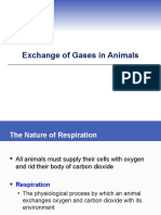 Exchange of Gases in Animals