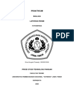 Lapres Biologi Fotosintesis - Upn Veteran Jatim - Teknologi Pangan 2020