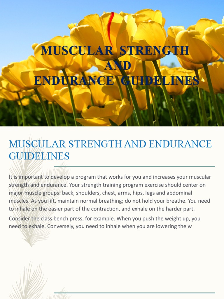 STRENGTH AND CONDITIONING GUIDELINES visual data 3