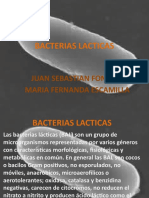 Bacterias lácticas: características, tipos de cultivos y aplicaciones alimentarias