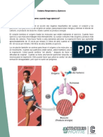 Taller Sistema Respiratorio