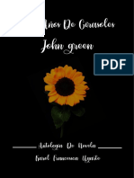 Diezañosdegirasoles3 0