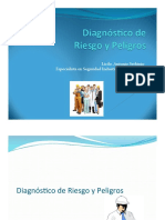 Diagnostico de Riesgo y Peligros PDF