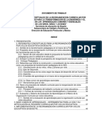 Reorganizacion Curricular Ciclos PDF