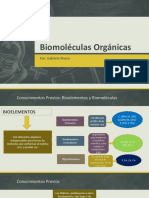 Biomoléculas Orgánicas