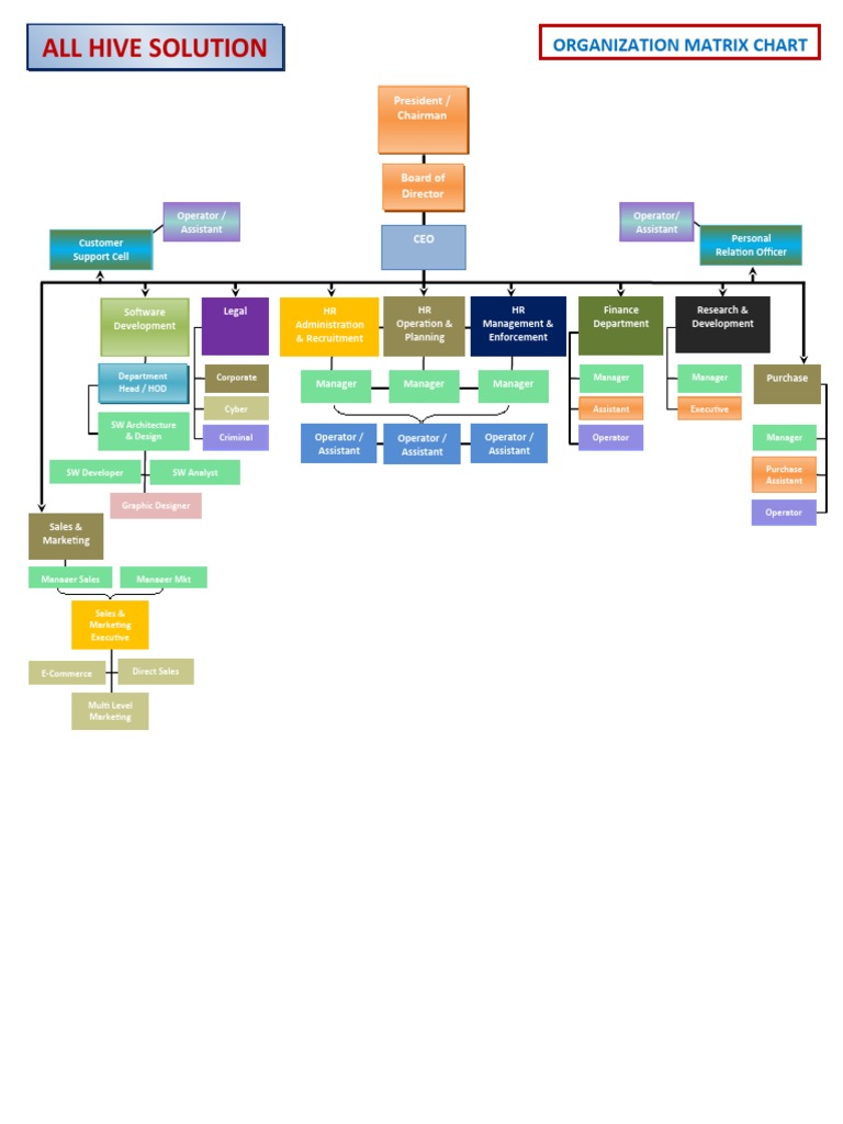 Hive Organizational Matrix Chart | PDF | Business | Economies