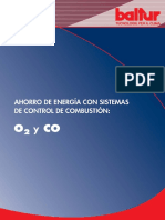 Controllo_O2-CO_e.pdf