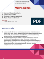 Exposicion - Amebas de Vida Libre PDF