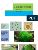 Clase N9 Origen y Evolucion de Las Plantas