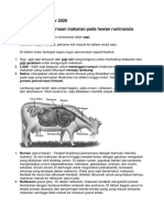 Hewan Ruminansia PDF