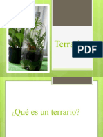 Terrario.pptx
