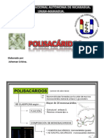 Polisacridosjohemanurbina 170201011719 PDF