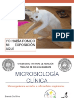 Microorganismos asociados a enfermedades respiratorias