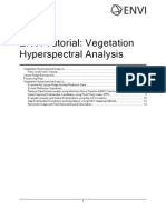 Vegetation Analysis