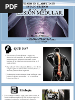 40 Lesion medular