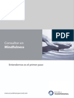 Consultor en Mindfulness: Entendernos es el primer paso