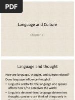 Language and Culture: Chapter 11