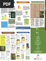 1.Encarte_IFT_Inventário-Florestal-100-em-EIR