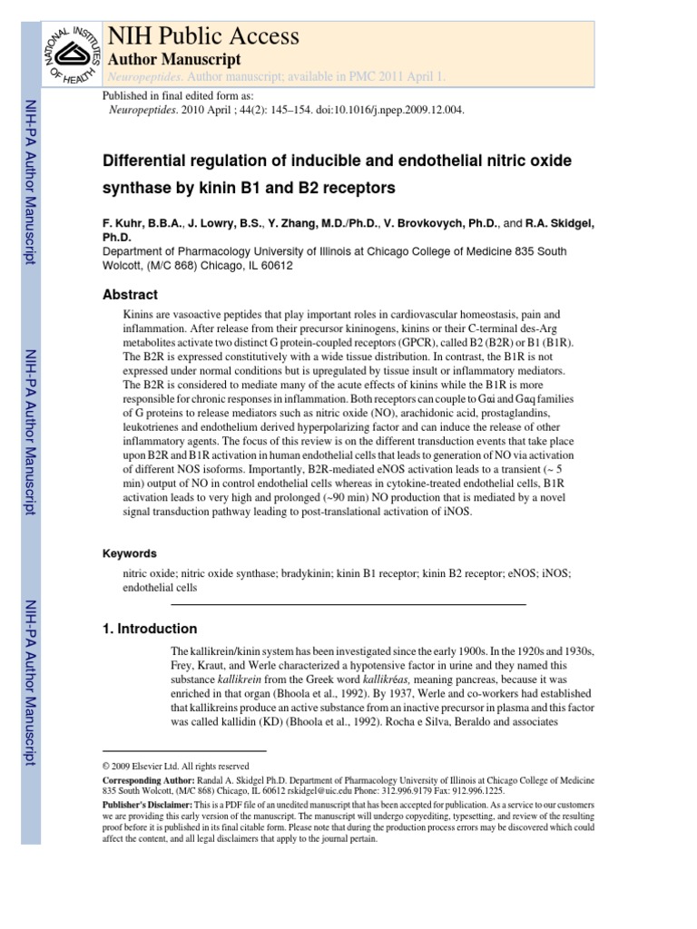 Differential Regulation of Inducible and Endothelial Nitric Oxide ...