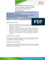 Protocolo Practica Virtual PDF