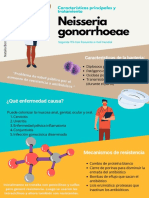 Neisseria Gonorrhoeae PDF