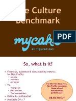 Culture Benchmark Overview