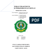 Laporan Praktikum Jaringan Dasar Hewan Vertebrata