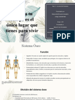 Fase 2 - Locomoción Humana