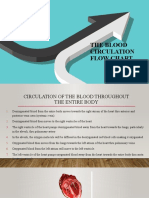 The Blood Circulation Flow Chart