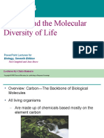 chapter 4 - Carbon and the Molecular Diversity of Life