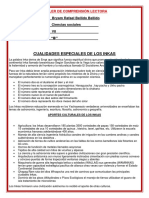 3.1 Taller de Comprension Lectura - Por Bryam Rafael Bellido Bellido - CC-SS-VII-B PDF
