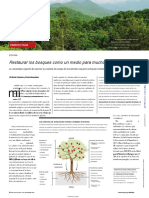 Chazdon+and+Brancalion+-+Restoring+Forests+-+Sci+7519 en Es PDF