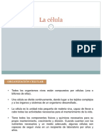 celula.pdf