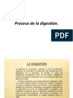 Proceso de La Digestion