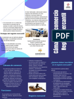 Cámara de Comercio PDF