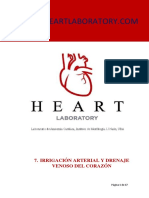 Irrigación Arterial y Drenaje Venoso del Corazón.pdf