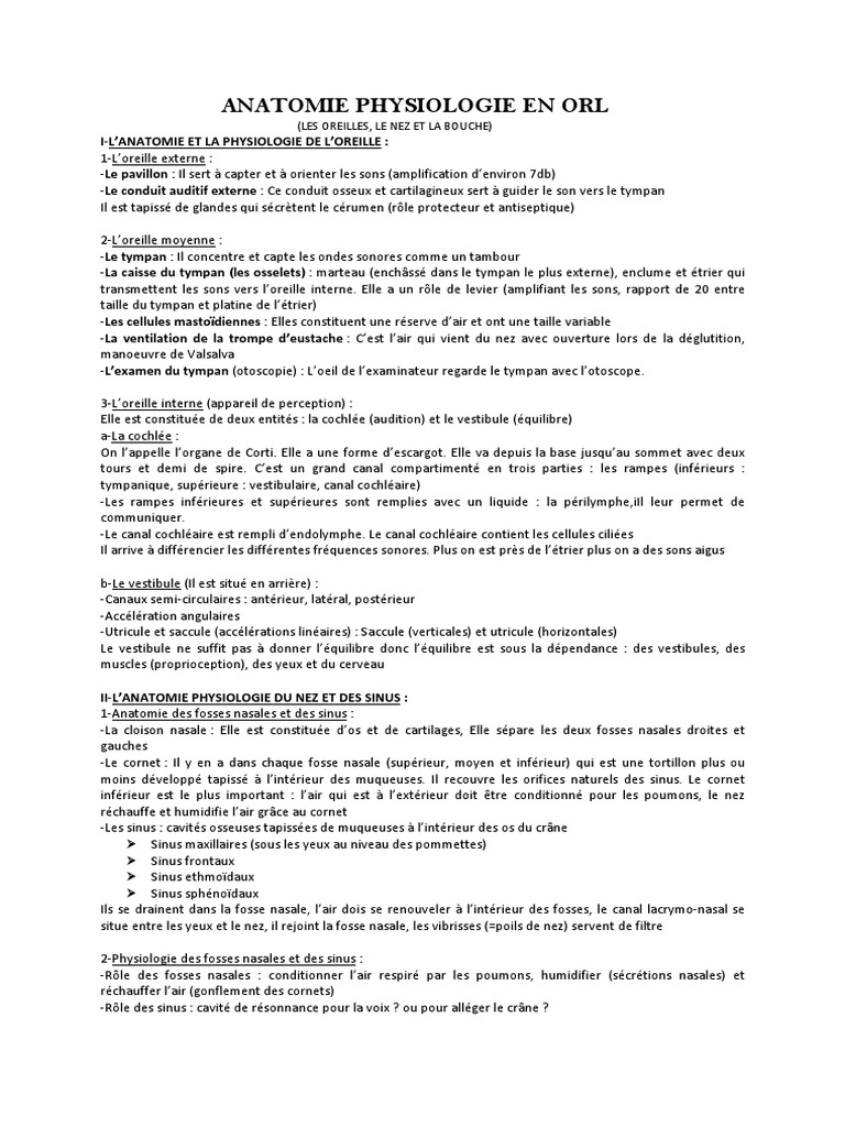 Anatomie et Physiologie de l'Oreille | PDF | Langue | Oreille