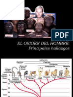 Hominización 2