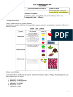 Guía 5 - A. VISUALES 3°