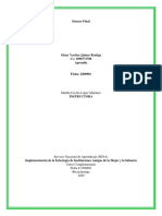 Ensayo Iami 2020 PDF